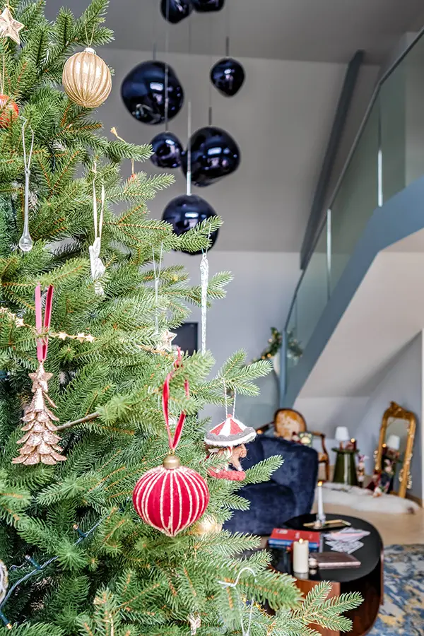 Photographe-professionnel-Architecte-interieur-noel Photographe-professionnel-Architecte-interieur-noel